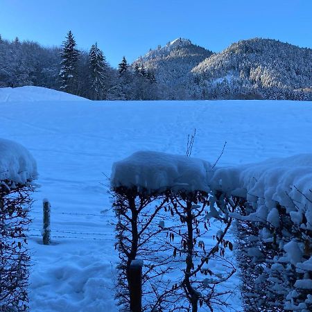 Appartement 2 Pieces Pieds Des Pistes Terrasse Face A La Montagne 贝尔内 外观 照片